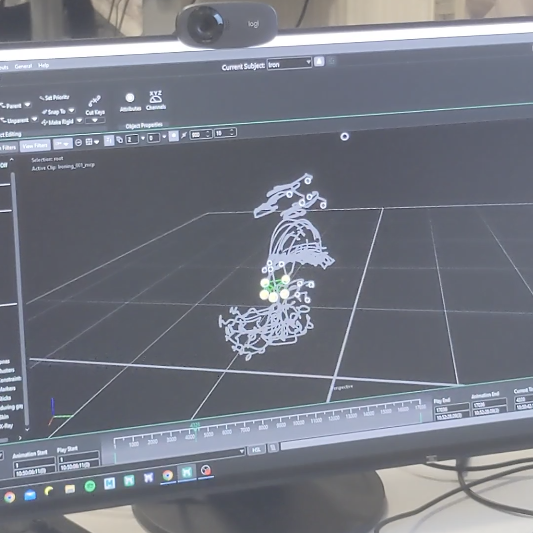 Ironing motion capture data